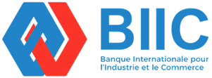 Partenaire 1